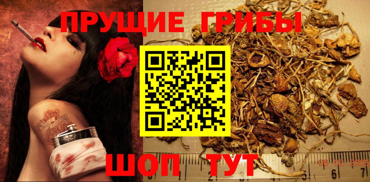 Псилоцибиновые грибы Magic Shrooms  купить закладку  Новороссийск  Вход с VPN  Галлюциногенные грибы Magic Shrooms 